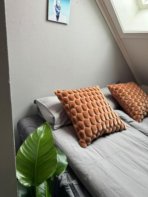 Urban Loftleilighet Trondheim Ngoại thất bức ảnh